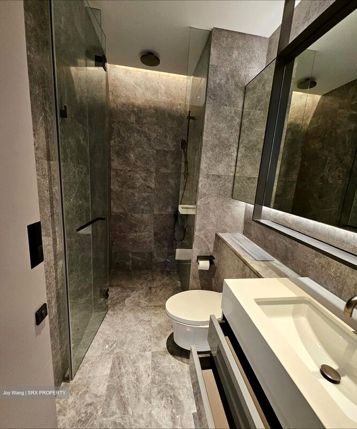 Cuscaden Reserve (D10), Condominium #498379101